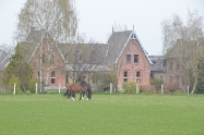 ??? Haras de Baudemont